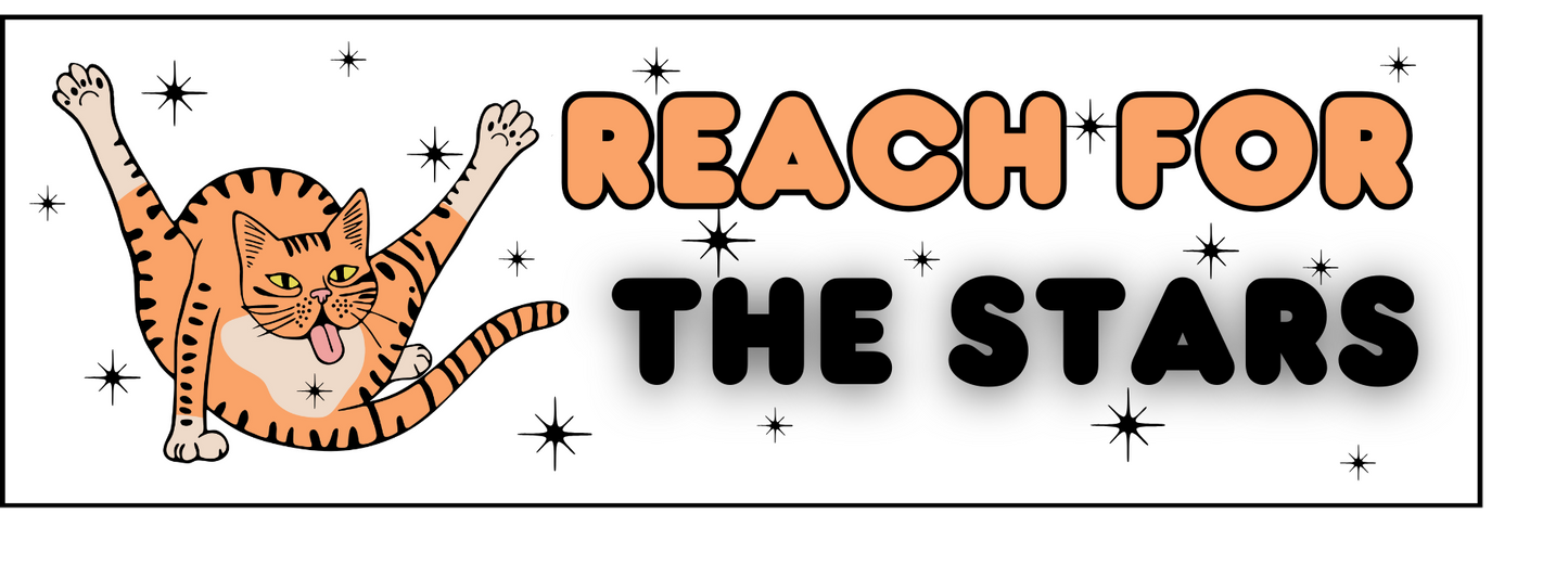 Reach for the Stars Funny Cat Vinyl Sticker Bookmark Journal Notebook Personalized