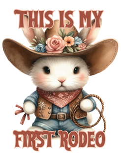 This is My First Rodeo Vinyl Sticker Funny Saying Bookmark