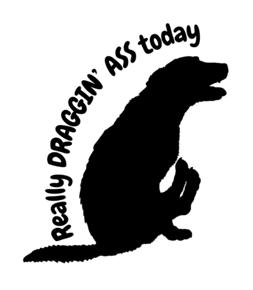 Really Draggin' Ass Vinyl Sticker Bookmark