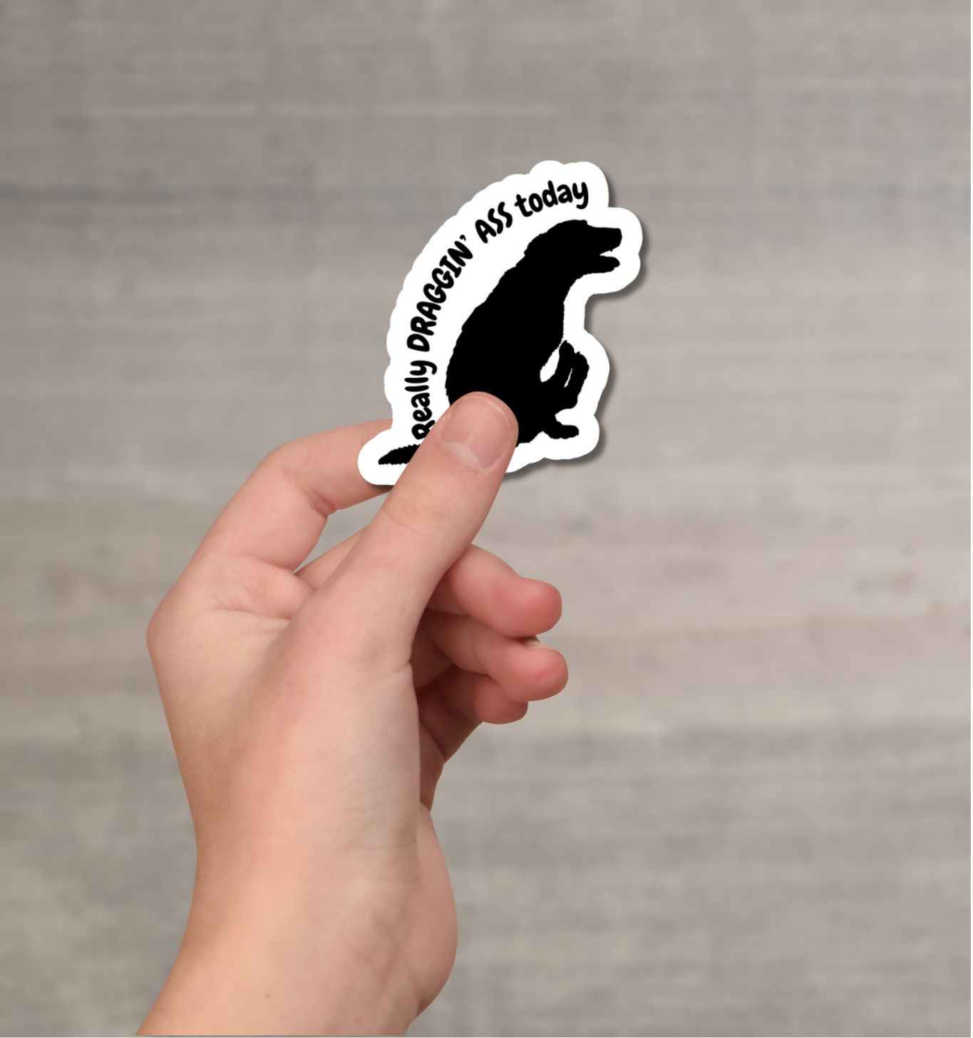 Really Draggin' Ass Vinyl Sticker Bookmark